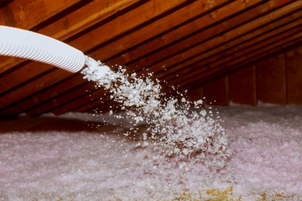 Best Spray Foam Insulation  in Northlake, IL