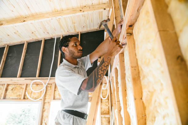 Best Insulation Contractors for Homes  in Northlake, IL