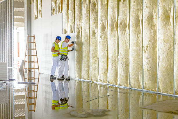 Best Garage Insulation Installation  in Northlake, IL